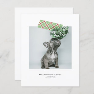 Lámina Navidades de cinta a raya de diversión de presupue