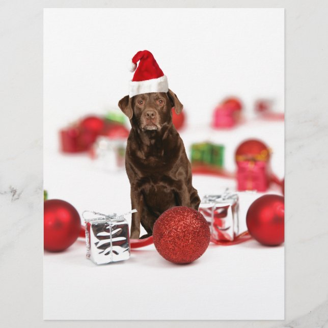 Lámina Navidades de perro de Labrador marrón con regalos  (Anverso)