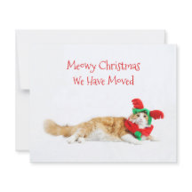 Navidades gatos graciosos del presupuesto mudándos