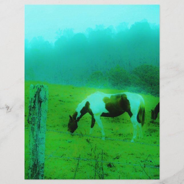 Lámina Niebla verde azulada Reto pintado pony Caballo (Anverso)