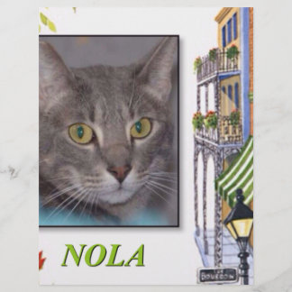 LÁMINA NOLA