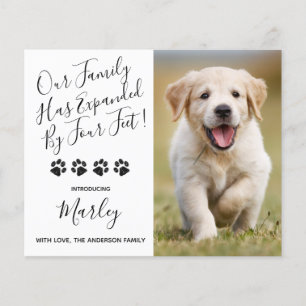 Lámina Nuevo Mascota presupuestal expandido por perro de 