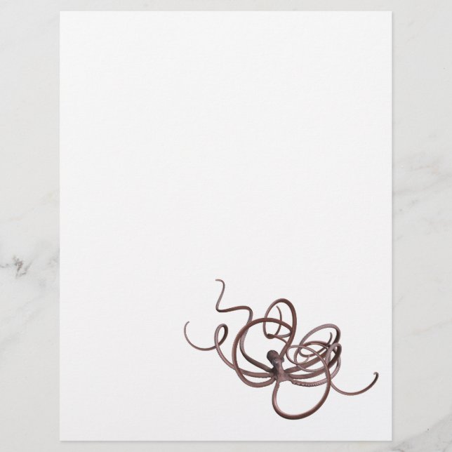 Lámina Octopus gigante (Anverso)