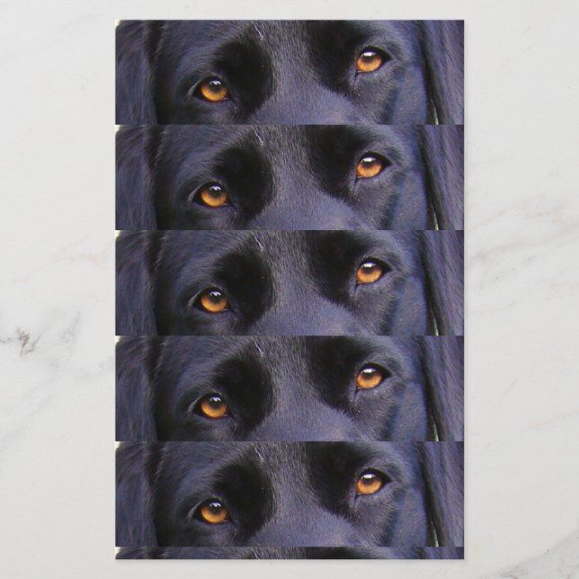 Lámina Ojos negros réflex (Anverso)