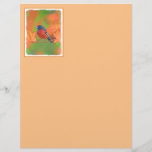 Lámina Orchard Oriole Songbird Pintura original de aves