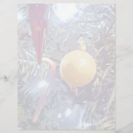 Lámina Ornamentos feriados de invierno