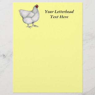 Lámina Orpington White Hen