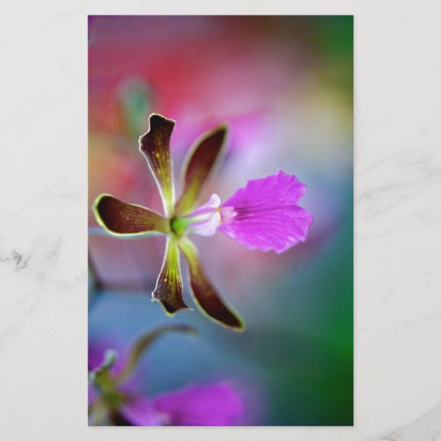 Lámina Orquídea púrpura (Anverso)