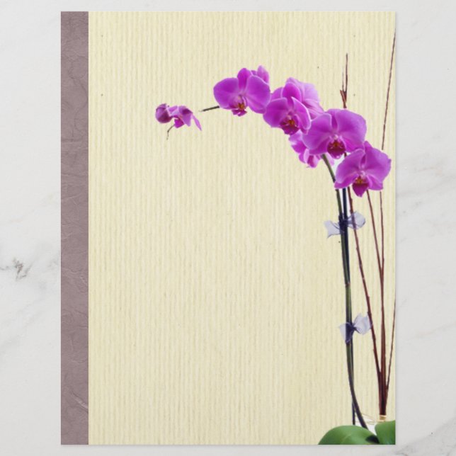 Lámina Orquídea púrpura (Anverso)
