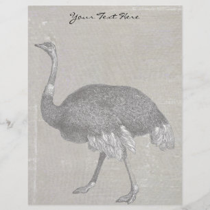Lámina Ostrich vintage