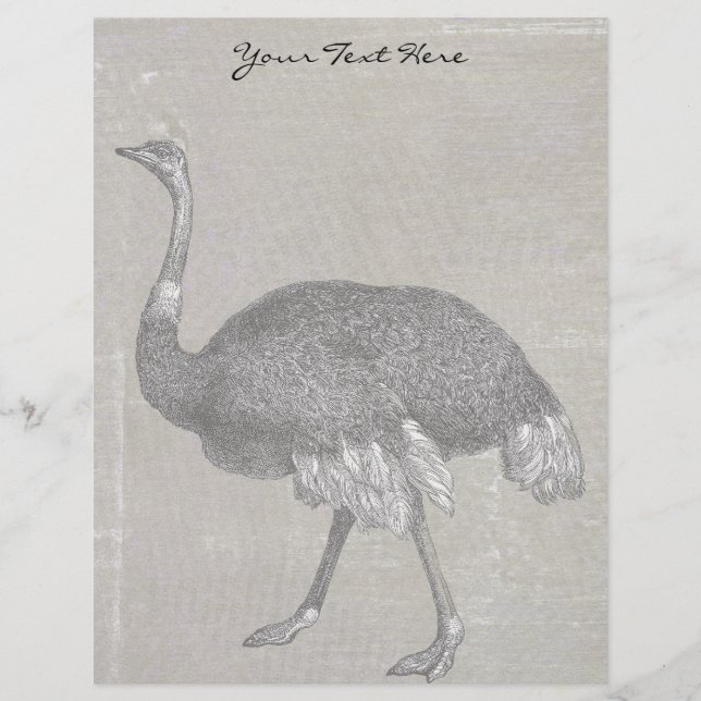 Lámina Ostrich vintage (Anverso)