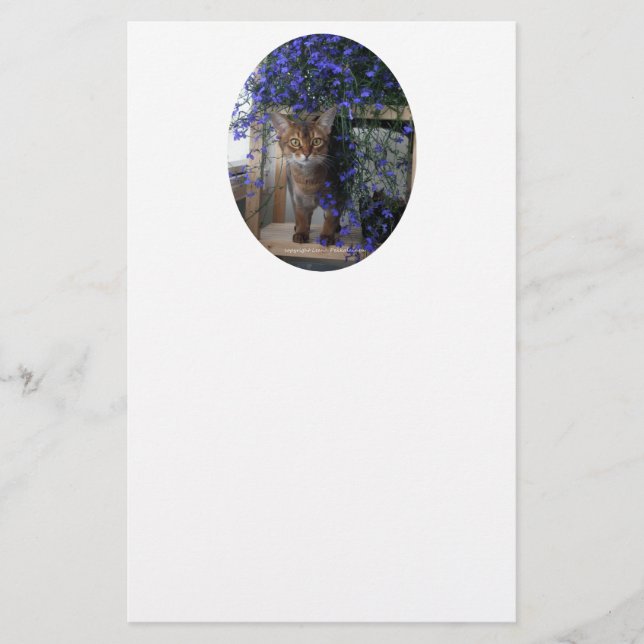 Lámina Óvalo de gato de flor (Anverso)