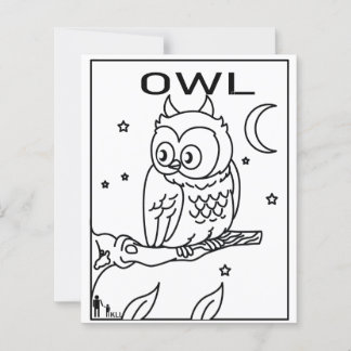 LÁMINA OWL NOCTURNO