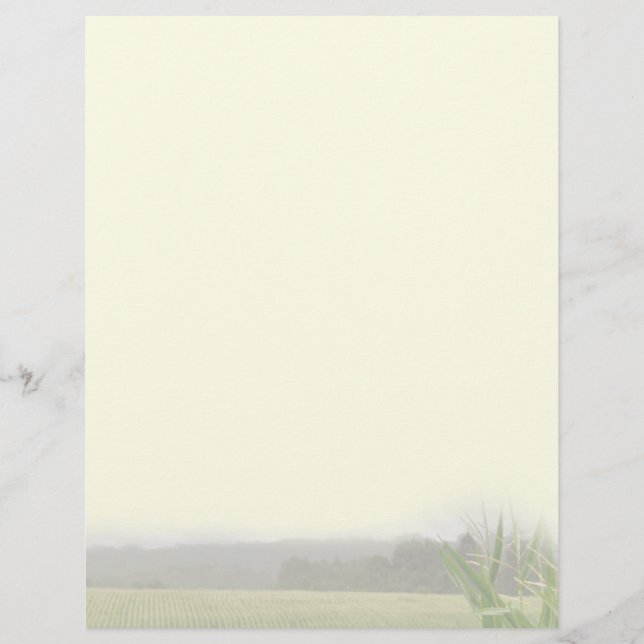 Lámina Paisaje agrícola con plantas de maíz en blanco (Anverso)