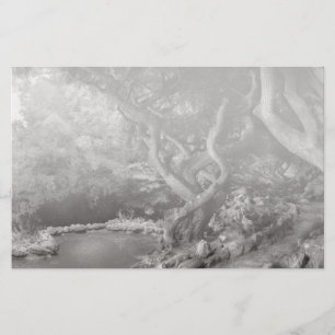 Lámina Paisaje - El bosque prohibido