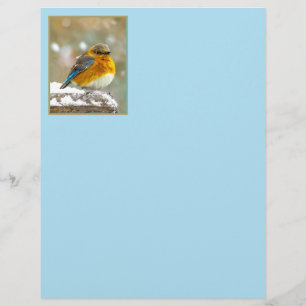 Lámina Pájaro azul oriental en nieve - Fotografía origina