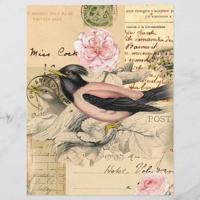Lámina Pájaro rosa, papel de cuaderno manuscrito (Anverso)