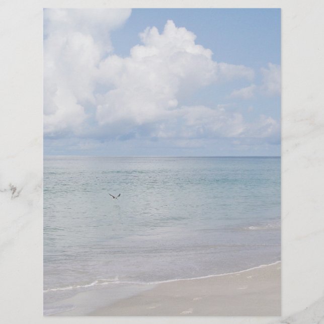 Lámina Pájaros en la playa (Anverso)