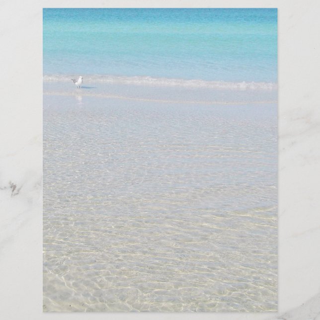 Lámina Pájaros en la playa (Anverso)