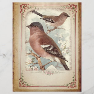 Lámina Pájaros rojos en papel de cuadernillo