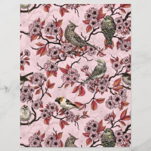 Lámina Pájaros y flor de cerezo sobre rosa palo