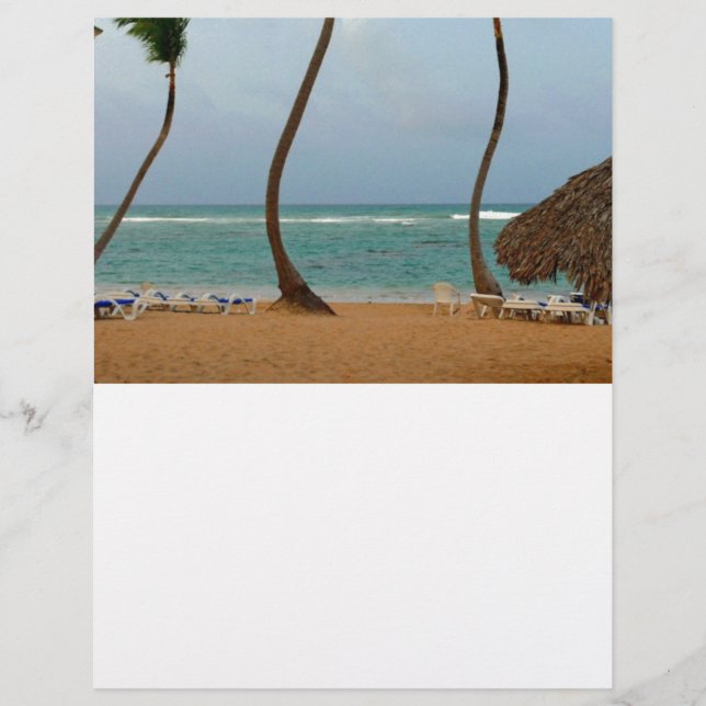 Lámina Palma de playa (Anverso)