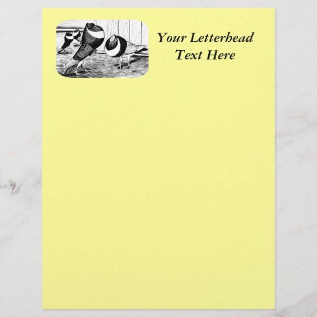 Lámina Palomas de Aachen Band Cropper (Anverso)