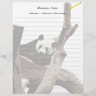 Lámina Panda gigante en una fotografía de zoológico salva