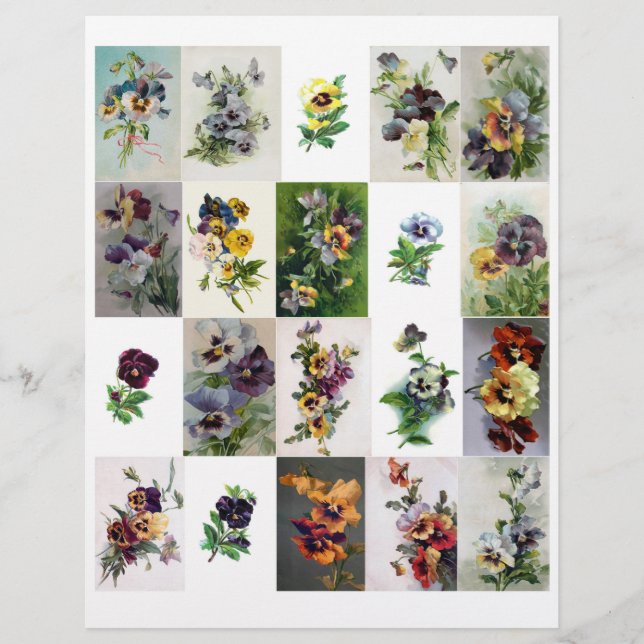 Lámina Pansies de la era victoriana de época genuinos (no (Anverso)