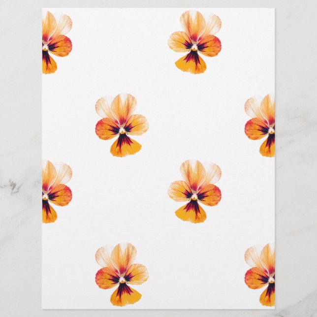 Lámina Pansies naranjas (Anverso)