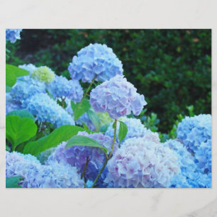 Lámina Papel de cartón azul Hydrangea Flores Jardín