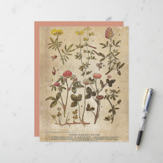 Lámina Papel de cartón botánico vintage