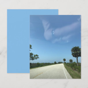 Lámina Papel de cartón de palmas de la autopista Blue Sky