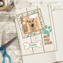 Papel de cartulina para álbum de fotos de perro