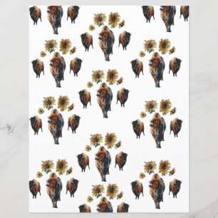 Lámina Papel de cierre