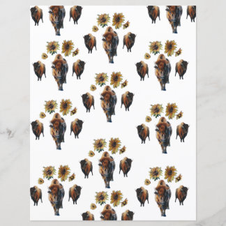 Lámina Papel de cierre