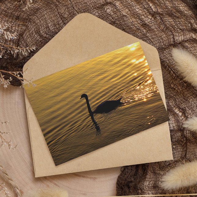 Lámina Papel de cisne dorado (Subido por el creador)