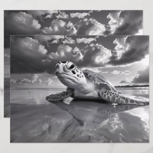 Lámina Papel de cuadernillo blanco y negro de tortuga mar