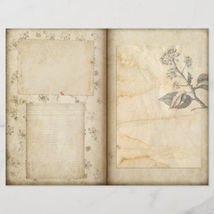 Lámina Papel de cuadernillo de cuaderno del Diario Botáni