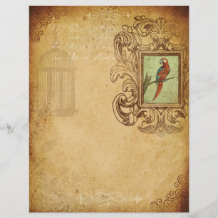 Lámina Papel de cuadernillo de loro vintage de adultos