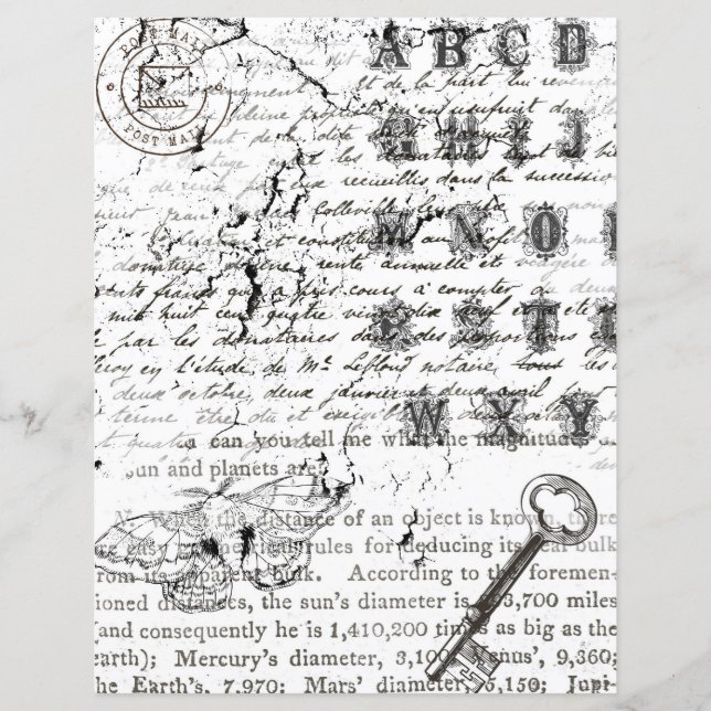 Lámina Papel de cuadernillo de mariposa blanca y negra (Anverso)