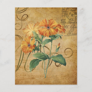 Lámina Papel de cuadernillo floral de Naranja de estilo v