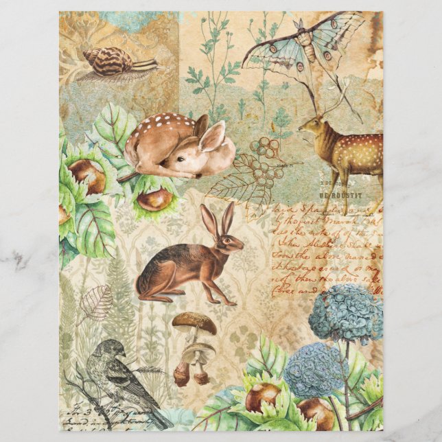 Lámina Papel de cuadernillo para animales del bosque de W (Anverso)