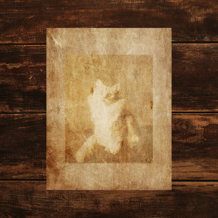 Lámina Papel de cuadernillo para gatos vintage