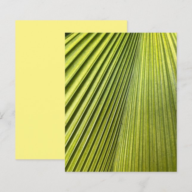 Lámina Papel de cuadernillo para la paleta del ventilador (Anverso / Reverso)