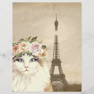 Lámina Papel de cuadernillo para la torre de Fancy Cat &