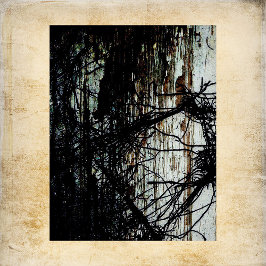 Lámina Papel de cuadernillo para mansiones abandonadas