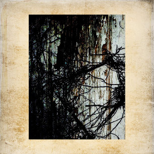 Lámina Papel de cuadernillo para mansiones abandonadas