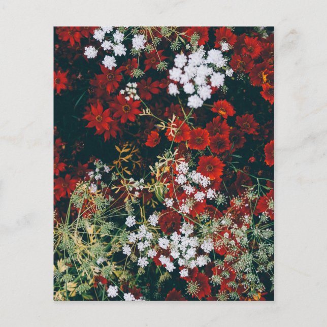 Lámina Papel de cuadernillo rojo con flores (Anverso)