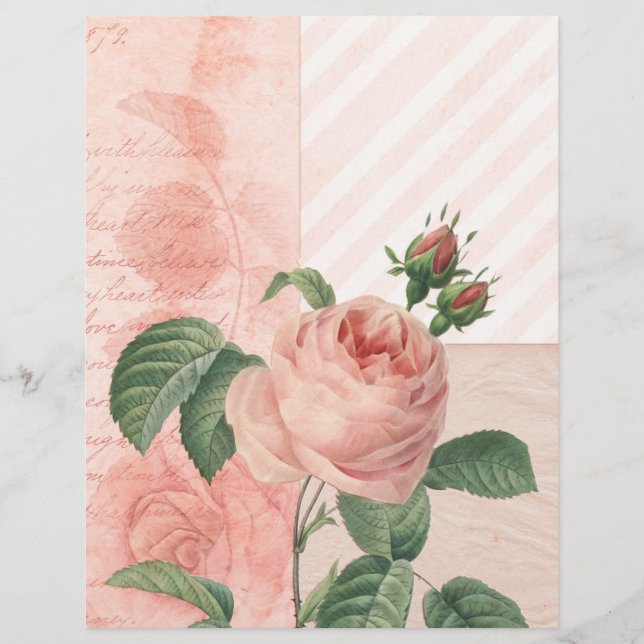 Lámina Papel de cuadernillo rosado de rosa vintage (Anverso)
